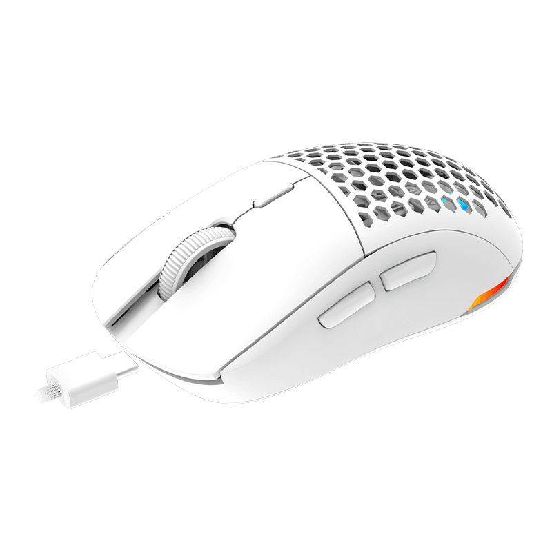Product gallery /uploads/gallerie/1713438964657.jpg
