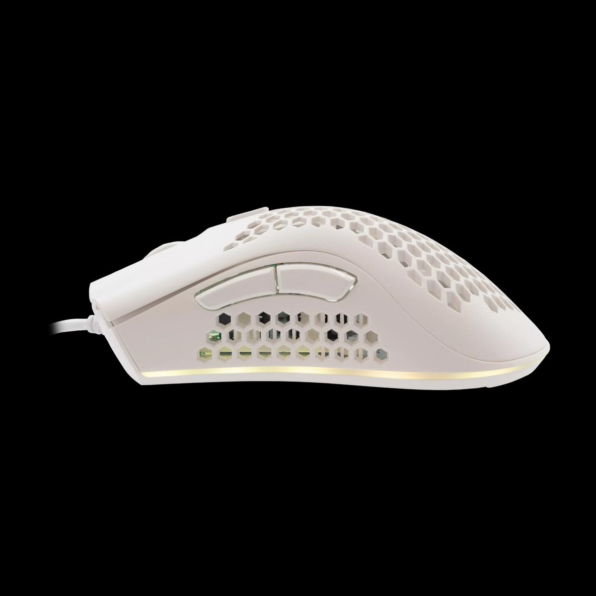 Product gallery /uploads/gallerie/1716910556360.webp