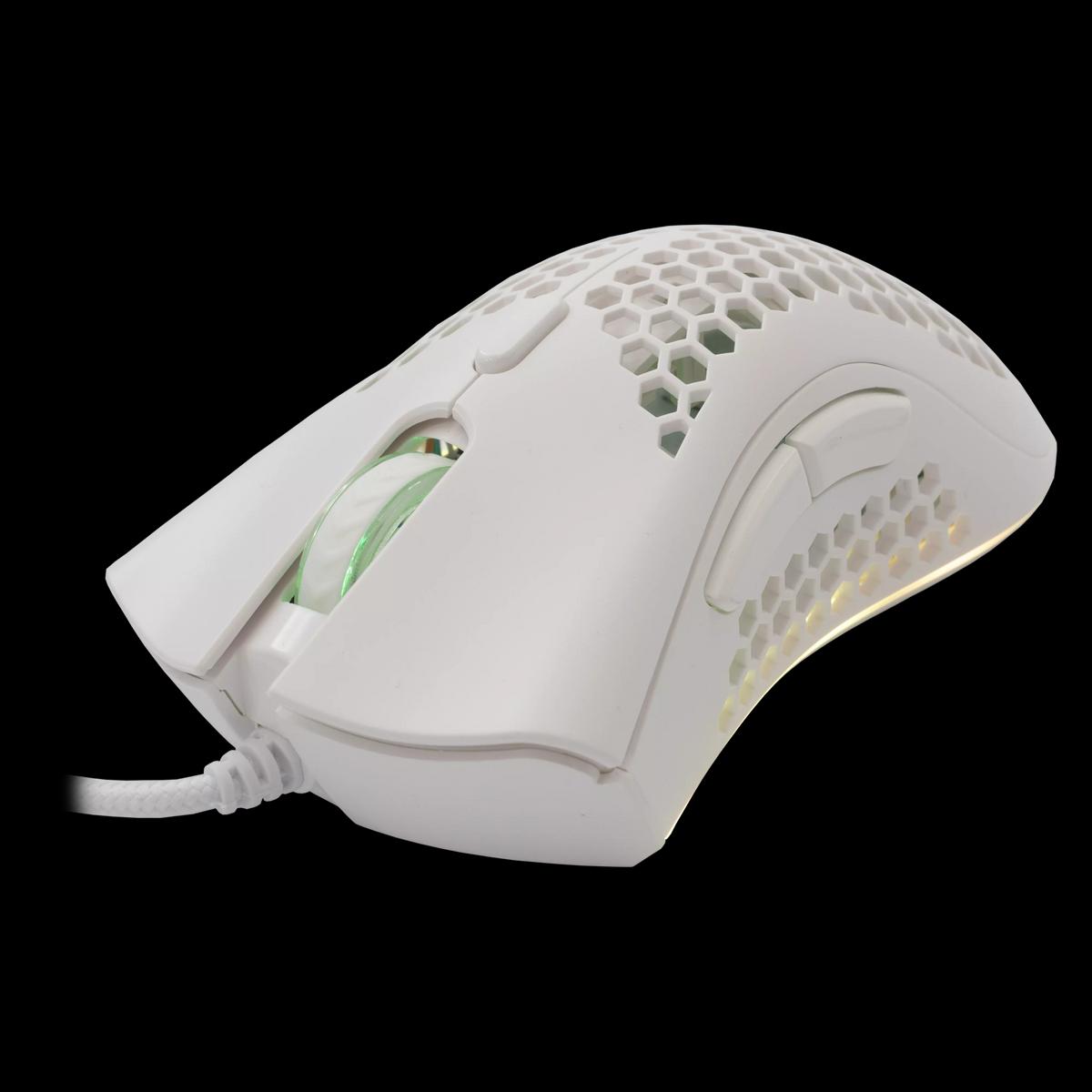 Product gallery /uploads/gallerie/1716910556362.webp