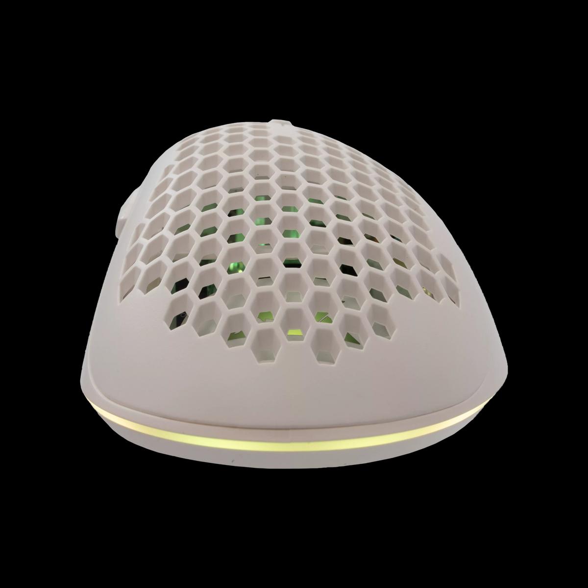 Product gallery /uploads/gallerie/1716910556392.webp