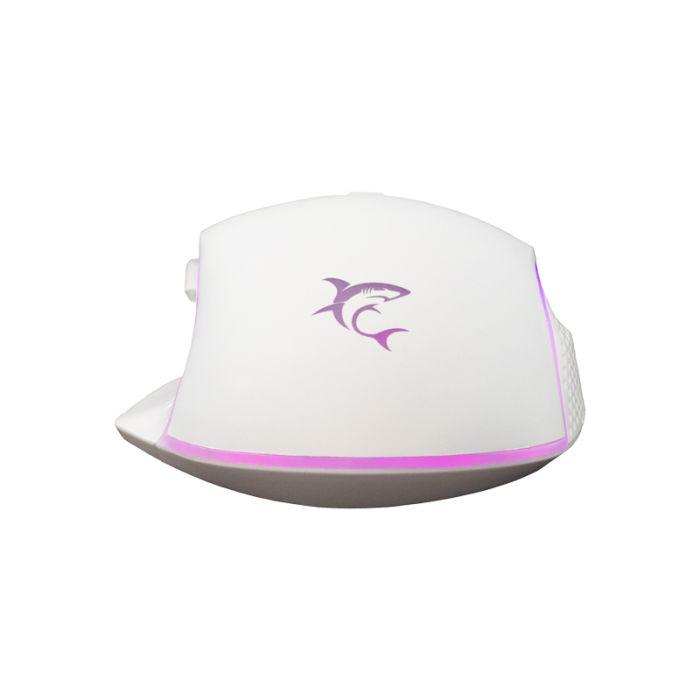 Product gallery /uploads/gallerie/1726314252199.jpg