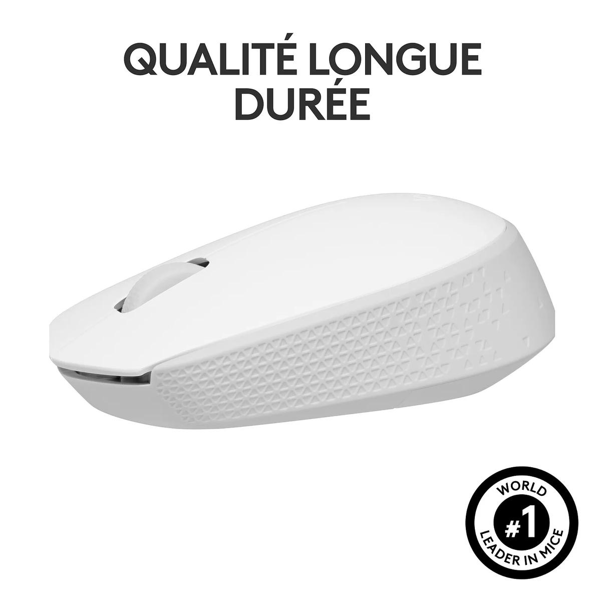 Product gallery /uploads/gallerie/1739541833684.webp