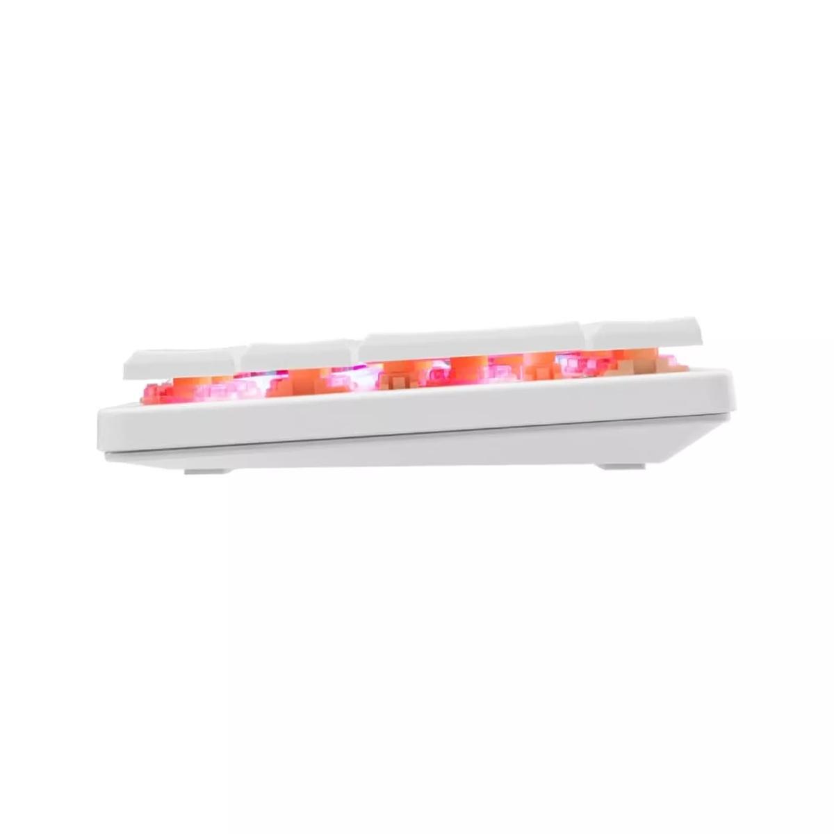 Product gallery /uploads/gallerie/1744625159251.webp
