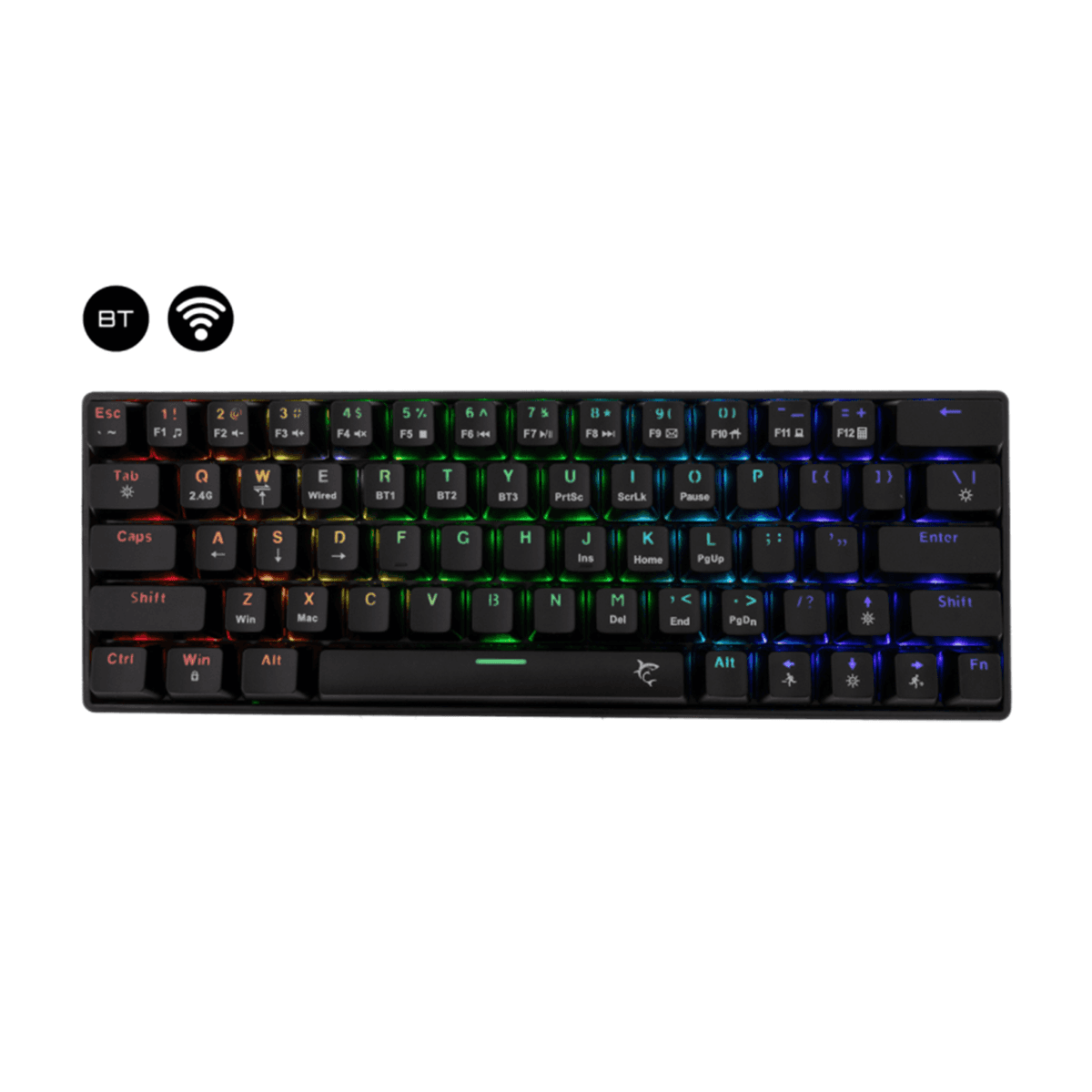 Product gallery /uploads/gallerie/1744640676805.png