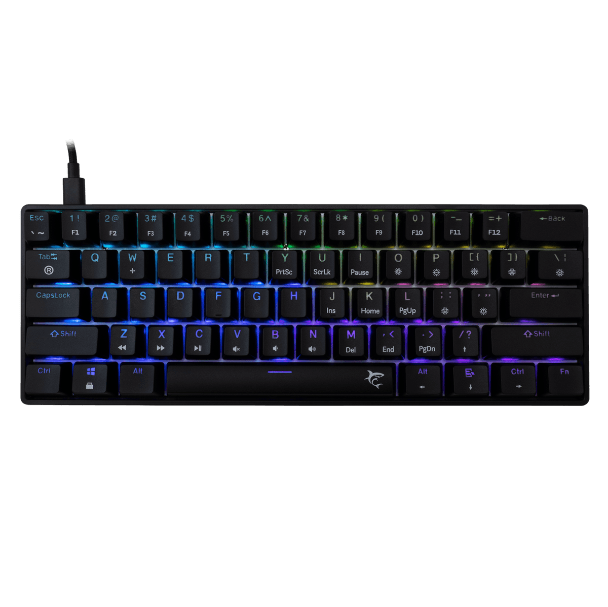 Product gallery /uploads/gallerie/1772445581941.png