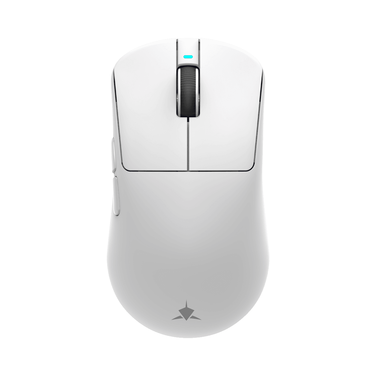 Product gallery /uploads/gallerie/1782208533674.png
